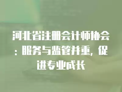 河北省注冊(cè)會(huì)計(jì)師協(xié)會(huì): 服務(wù)與監(jiān)管并重, 促進(jìn)專業(yè)成長(zhǎng)