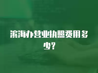 濱海辦營業執照費用多少？