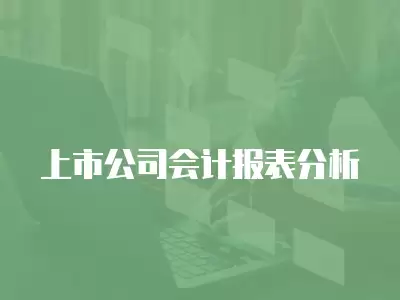 上市公司會計報表分析