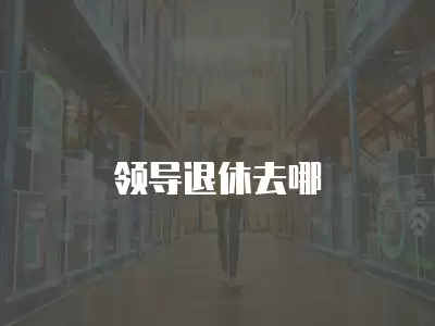 領導退休去哪