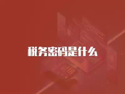 稅務(wù)密碼是什么