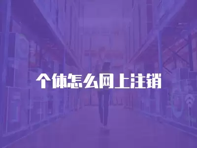 個體怎么網上注銷