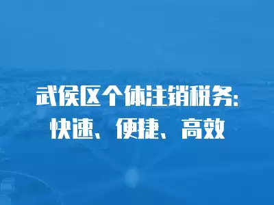 武侯區(qū)個體注銷稅務：快速、便捷、高效