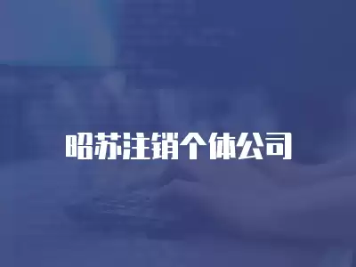 昭蘇注銷個體公司