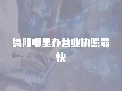 舞陽哪里辦營業執照最快