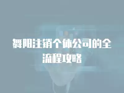 舞陽注銷個體公司的全流程攻略