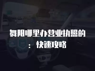 舞陽哪里辦營業執照的：快速攻略