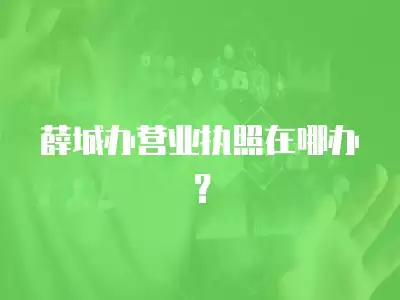 薛城辦營業(yè)執(zhí)照在哪辦？