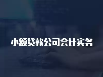 小額貸款公司會計實務