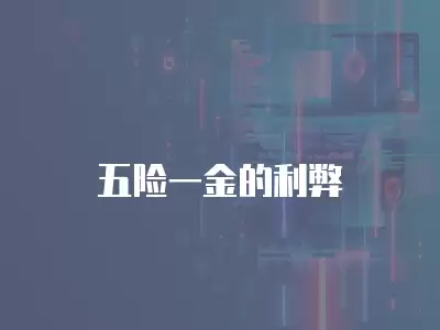 五險一金的利弊