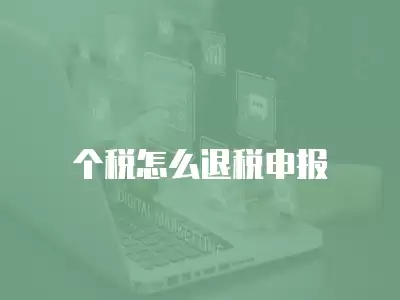 個稅怎么退稅申報(bào)