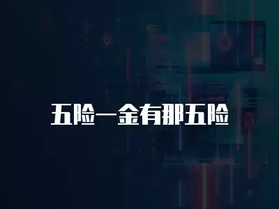 五險一金有那五險