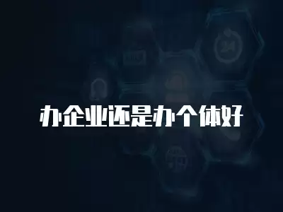 辦企業(yè)還是辦個(gè)體好