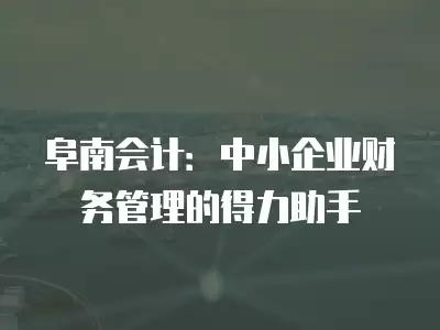 阜南會計：中小企業財務管理的得力助手