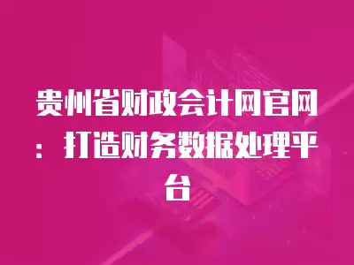 貴州省財政會計網官網：打造財務數據處理平臺