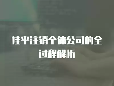 桂平注銷個體公司的全過程解析