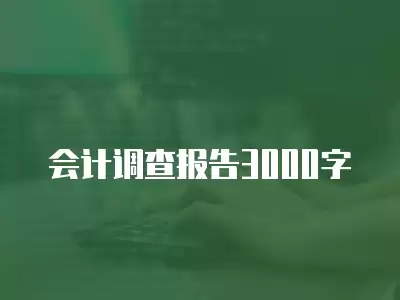 會計調查報告3000字