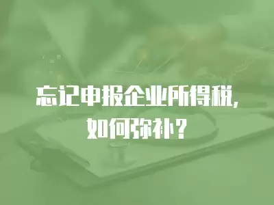 忘記申報企業所得稅，如何彌補？