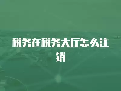 稅務在稅務大廳怎么注銷