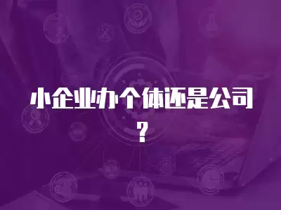 小企業(yè)辦個體還是公司？