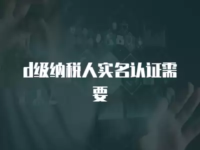 d級納稅人實名認證需要