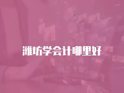 濰坊學會計哪里好