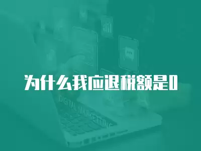 為什么我應退稅額是0