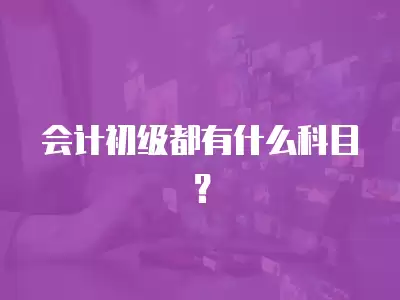 會計初級都有什么科目？