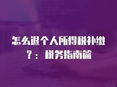 怎么退個人所得稅補繳？：稅務指南篇