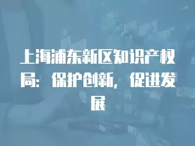 上海浦東新區知識產權局：保護創新，促進發展