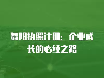 舞陽執照注冊：企業成長的必經之路