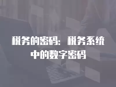 稅務(wù)的密碼：稅務(wù)系統(tǒng)中的數(shù)字密碼