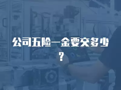 公司五險一金要交多少？