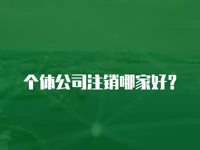 個體公司注銷哪家好？