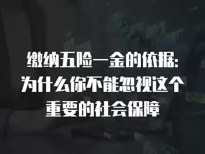 繳納五險一金的依據：為什么你不能忽視這個重要的社會保障