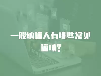 一般納稅人有哪些常見稅項?