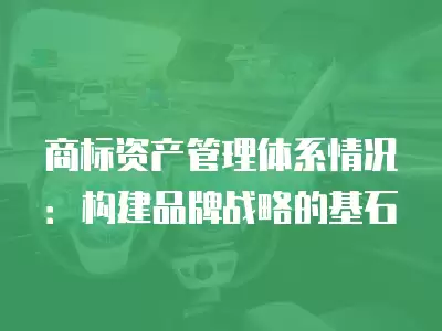 商標資產管理體系情況：構建品牌戰略的基石