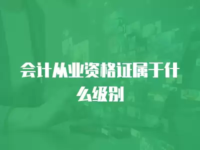 會計從業資格證屬于什么級別