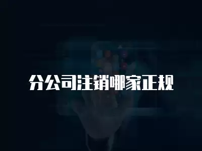 分公司注銷哪家正規(guī)