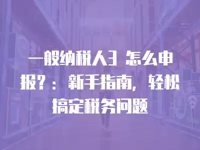 一般納稅人3 怎么申報？：新手指南，輕松搞定稅務問題