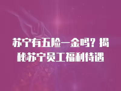 蘇寧有五險(xiǎn)一金嗎？揭秘蘇寧員工福利待遇