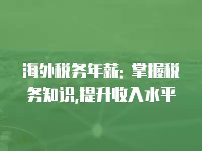 海外稅務(wù)年薪: 掌握稅務(wù)知識,提升收入水平