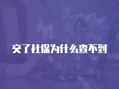 交了社保為什么查不到