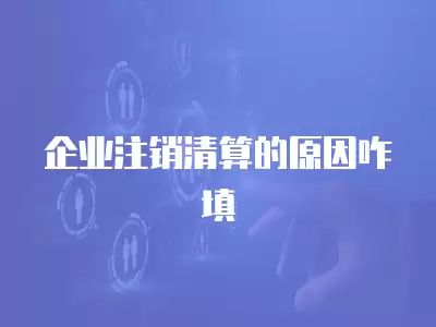 企業注銷清算的原因咋填