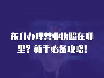 東升辦理營業執照在哪里？新手必備攻略！