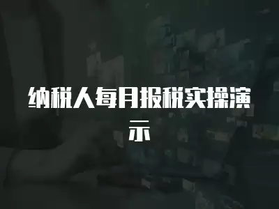 納稅人每月報(bào)稅實(shí)操演示