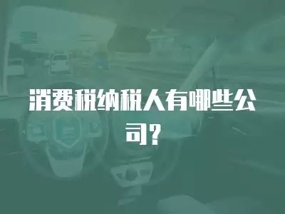 消費稅納稅人有哪些公司？