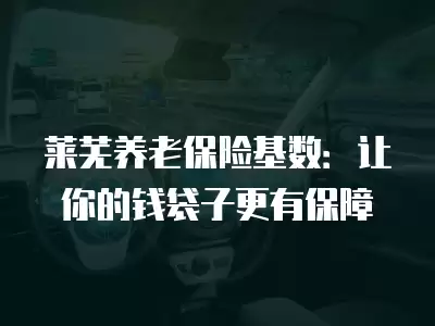 萊蕪養老保險基數：讓你的錢袋子更有保障