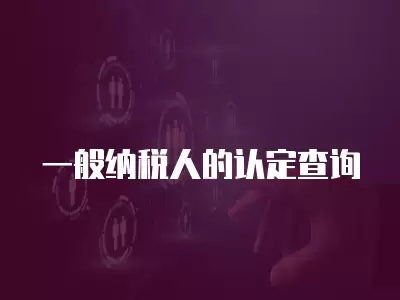 一般納稅人的認定查詢