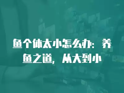 魚個體太小怎么辦：養魚之道，從大到小